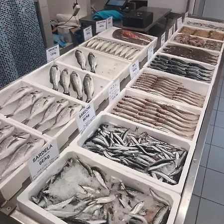 Casa Furlan Lägenhet Izola